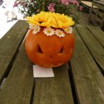 Dýně, kam se podíváš