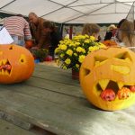 Dýně, kam se podíváš