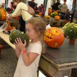 Dýně, kam se podíváš