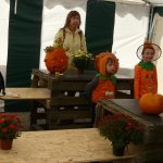 Dýně, kam se podíváš