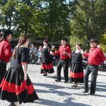 Dýně, kam se podíváš