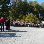 Dýně, kam se podíváš