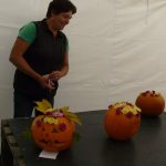 Dýně, kam se podíváš