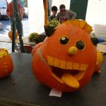 Dýně, kam se podíváš