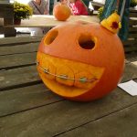 Dýně, kam se podíváš