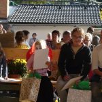 Dýně, kam se podíváš