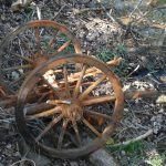 Co všechno se najde pod vodou…