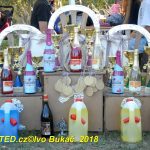Fichtl cup v Předbořicích přilákal téměř 70 jezdců