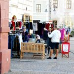 Sobotní bleší trh v táborském Výčepu pomůže opuštěným kočkám
