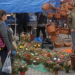 Žižkovo náměstí v Táboře dnes ožilo Havelským trhem