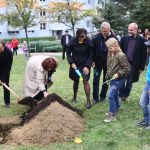 Prachatická Národka slavila sázením lípy i Českou besedou