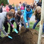 Prachatická Národka slavila sázením lípy i Českou besedou