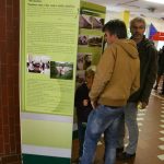 Prachatická Národka slavila sázením lípy i Českou besedou