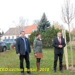 V Milevsku byl dnes zasazen Strom svobody. Pátrá se po stromech z roku 1918
