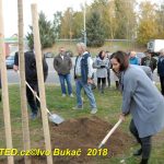 V Milevsku byl dnes zasazen Strom svobody. Pátrá se po stromech z roku 1918