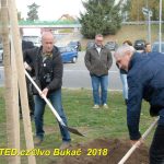 V Milevsku byl dnes zasazen Strom svobody. Pátrá se po stromech z roku 1918