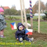 V Milevsku byl dnes zasazen Strom svobody. Pátrá se po stromech z roku 1918