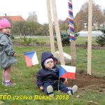 V Milevsku byl dnes zasazen Strom svobody. Pátrá se po stromech z roku 1918