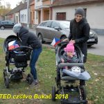 V Milevsku byl dnes zasazen Strom svobody. Pátrá se po stromech z roku 1918