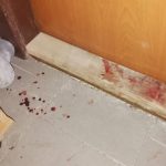 Na statku v Boru u Protivína byly zavražděny dvě ženy