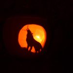 Miroticemi prošel lampionový průvod
