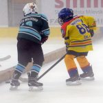Čtvrťáci se chystají na přechod na velké kluziště