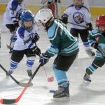 Milevští benjamínci ze druhých tříd sehráli své první zápasy v životě