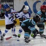 Milevští benjamínci ze druhých tříd sehráli své první zápasy v životě