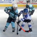 Milevští benjamínci ze druhých tříd sehráli své první zápasy v životě