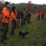 Na divočáky u Heřmani vyrazilo na padesát myslivců i z ciziny
