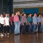 Sokolská akademie zaplnila hlediště písecké haly