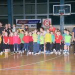 Sokolská akademie zaplnila hlediště písecké haly