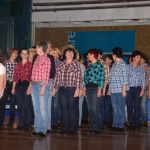 Sokolská akademie zaplnila hlediště písecké haly