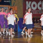 Sokolská akademie zaplnila hlediště písecké haly