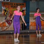 Sokolská akademie zaplnila hlediště písecké haly