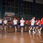 Sokolská akademie zaplnila hlediště písecké haly