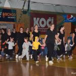 Sokolská akademie zaplnila hlediště písecké haly