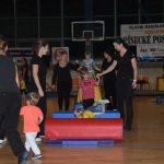 Sokolská akademie zaplnila hlediště písecké haly