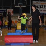 Sokolská akademie zaplnila hlediště písecké haly