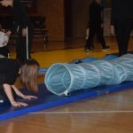 Sokolská akademie zaplnila hlediště písecké haly