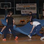 Sokolská akademie zaplnila hlediště písecké haly