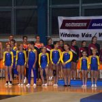 Sokolská akademie zaplnila hlediště písecké haly