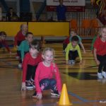 Sokolská akademie zaplnila hlediště písecké haly