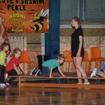 Sokolská akademie zaplnila hlediště písecké haly