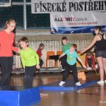 Sokolská akademie zaplnila hlediště písecké haly