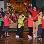 Sokolská akademie zaplnila hlediště písecké haly