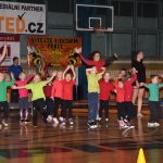 Sokolská akademie zaplnila hlediště písecké haly