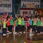 Sokolská akademie zaplnila hlediště písecké haly