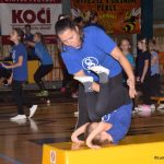 Sokolská akademie zaplnila hlediště písecké haly