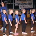 Sokolská akademie zaplnila hlediště písecké haly